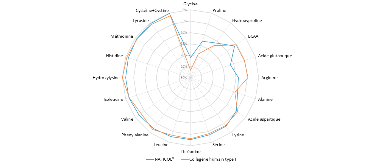 Aminogramme comparatif entre le collagène marin et le collagène humain de type I